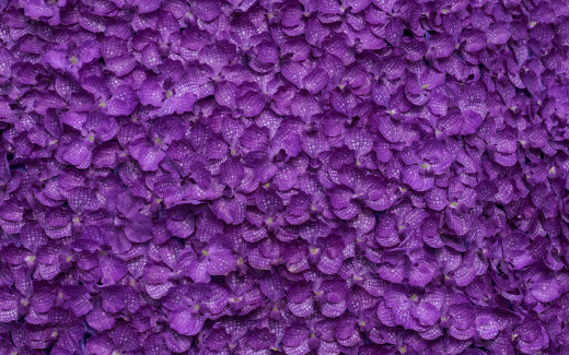1586367 (a): :2880x1800